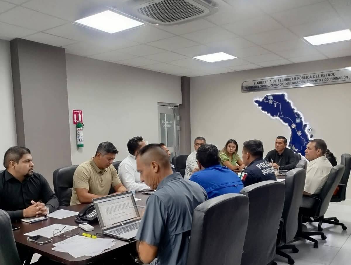 Imagen complementaria de Cuarta Sesión Ordinaria de la Comisión Técnica de Videovigilancia