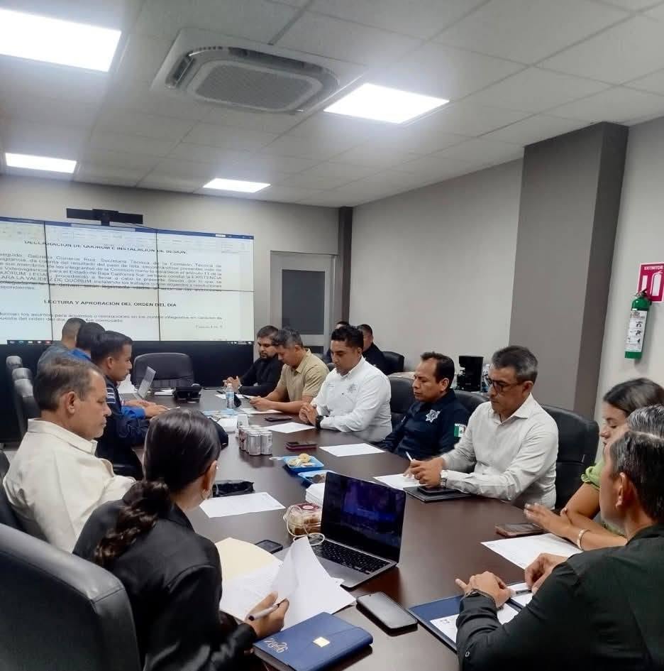 Portada de Cuarta Sesión Ordinaria de la Comisión Técnica de Videovigilancia